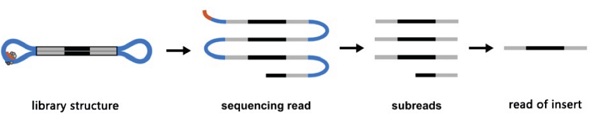三种RNA测序技术怎么选？Nature子刊综述讲明白了
