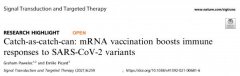 SignalTransductionandTargetedTherapy：mRNA疫苗可增强对SARS-CoV-2变异株