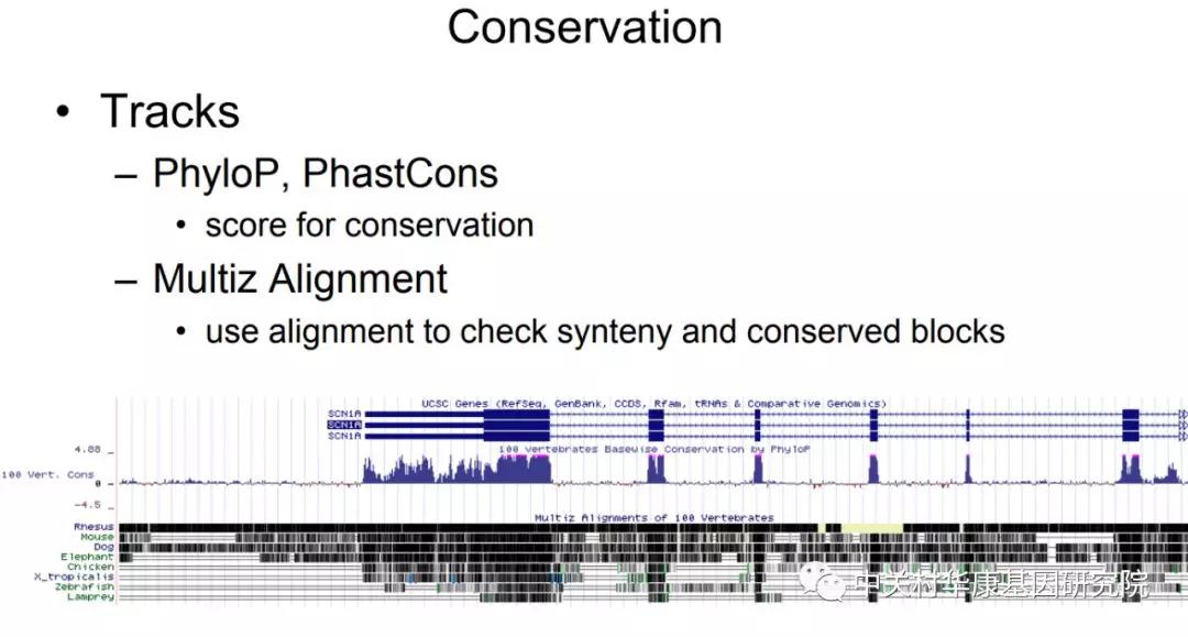 【生物信息学笔记】UCSC基因组浏览器
