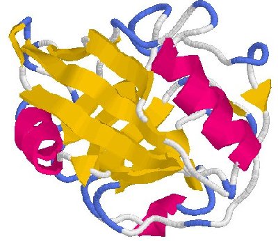 细胞色素P450：一种非常重要的药物代谢酶