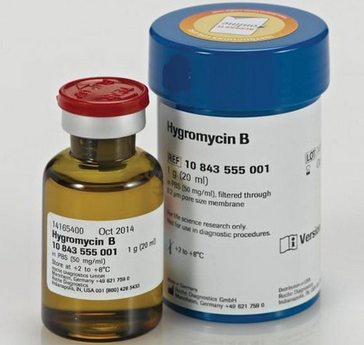 Roche 潮霉素B（Hygromycin B，hyg/hph筛选抗生素）