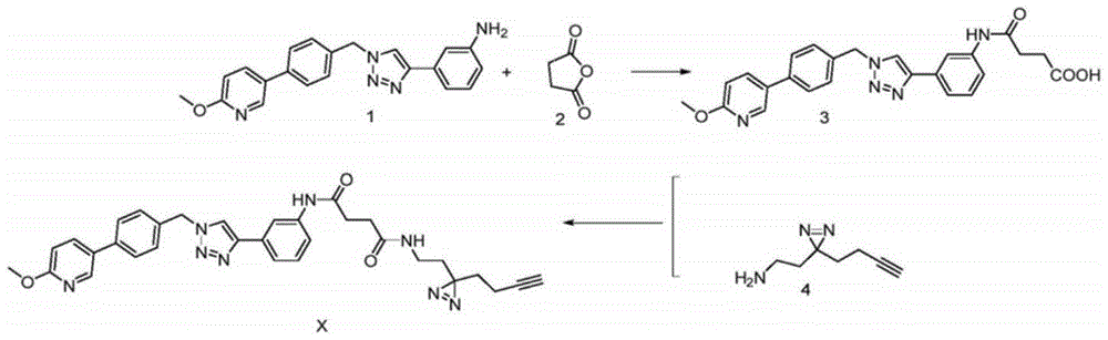 含有光亲和基团双吖丙啶的探针分子的制备方法及应用与流程