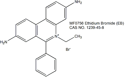 Ethidium Bromide (EB) 溴化乙锭（EB，粉末）