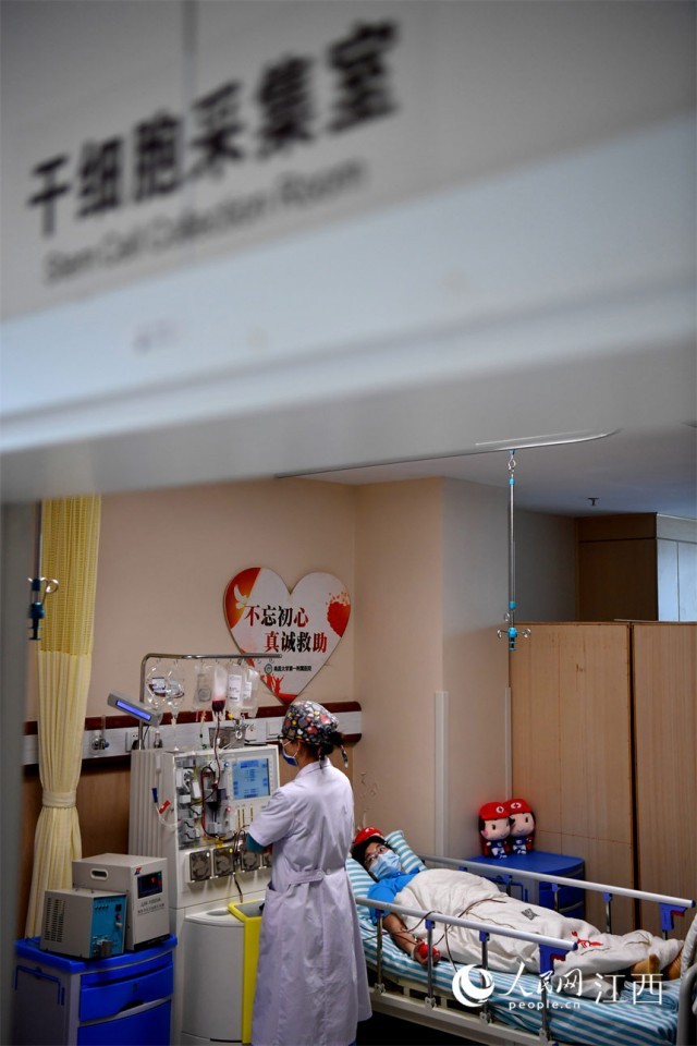在医院干细胞采集室，小慧躺在床上正在采集造血干细胞。 人民网 时雨摄