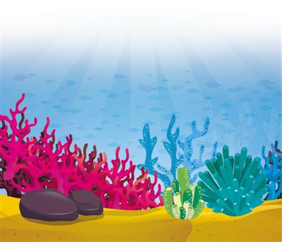 我们为什么要“种”珊瑚？（把自然讲给你听）