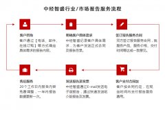 中国磷酸锆离子交换剂行业发展趋势及竞争策略研究报告