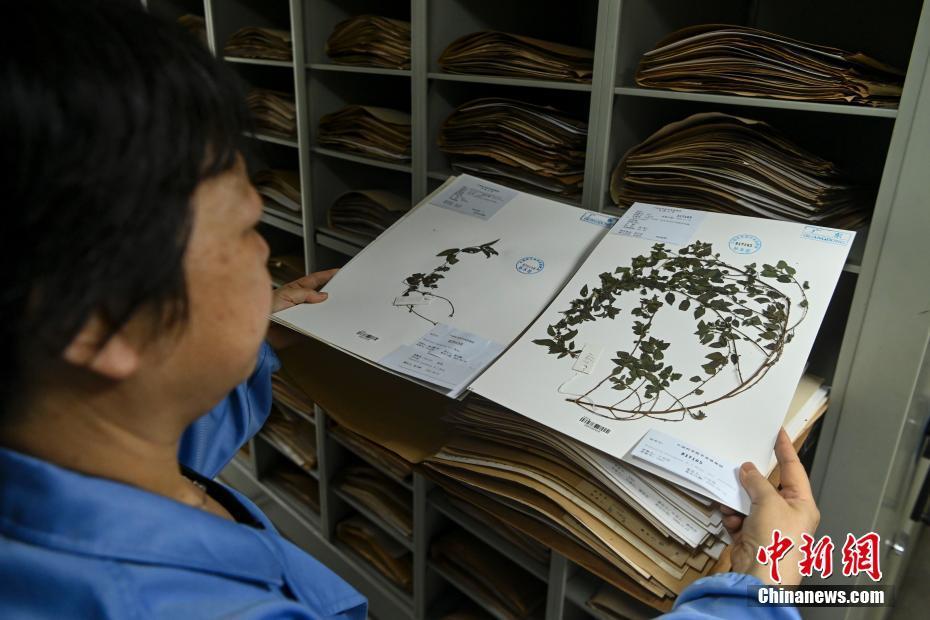 【图刊】探访中国科学院华南植物园