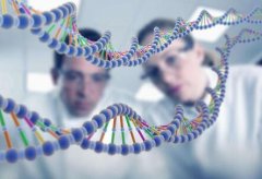 基因工程在制药行业的前景和发展潜力