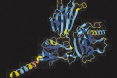 AI预测超过2亿个蛋白质结构 有望加快新药研发