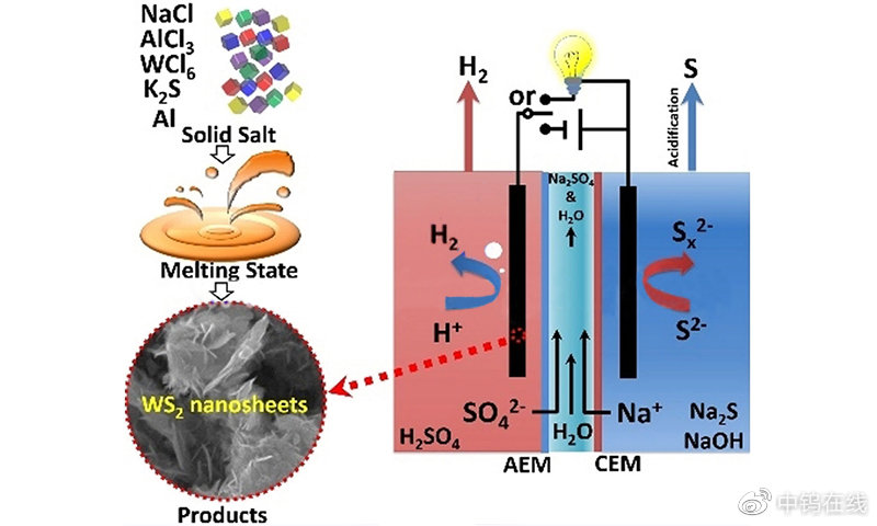 二硫化钨纳米材料（WS2NM）在光学生物传感器中的