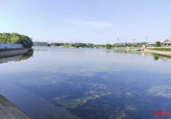 成都五城区面积最大的人工湖泊，换水！