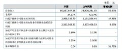 中科美菱2017年上半年甲胺基苯丙酮营收6056.79万元 同比增长5