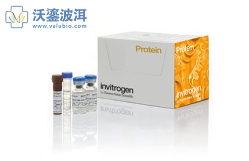 重庆DAB 免疫组化组织芯片显色试剂盒公司报价