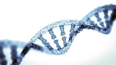 新的研究挑战声称外源RNA对精子功能至关重要