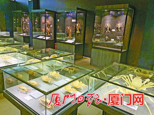 螃蟹博物馆内拥有上千件标本。