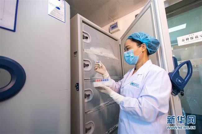 5月23日，中科院武汉病毒研究所微生物菌毒种保藏中心的工作人员在检查病毒样本。新华社记者熊琦摄