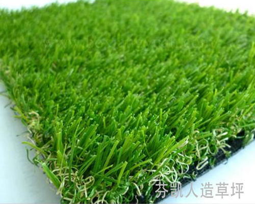 重庆D型足球草多少钱一平方米