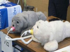 本开发出萌萌哒的海豹型机器人PARO用于治疗痴呆症患者