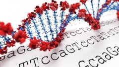 贝瑞基因发力全基因组测序的临床应用