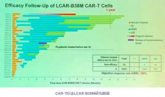 Science：韩为东教授领衔 详谈中国CAR-T细胞疗法的崛起