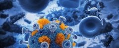 免疫学家确定了肺部T细胞归巢信标