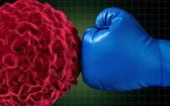沉默RNA纳米疗法显示有望预防胰腺癌