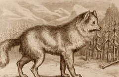 科学家对14300年前的狼幼犬进行RNA测序