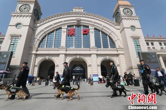 图为，武汉铁路警方带领警犬车站巡逻 胡金力 摄