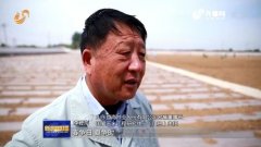 山东企业家 | 紧凑型杂交玉米之父”李登海：“一粒种子”的承诺