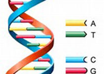 研究人员发布全基因组单核苷酸变异数据库