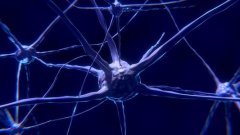 神经元通路可能会导致神经退行性疾病