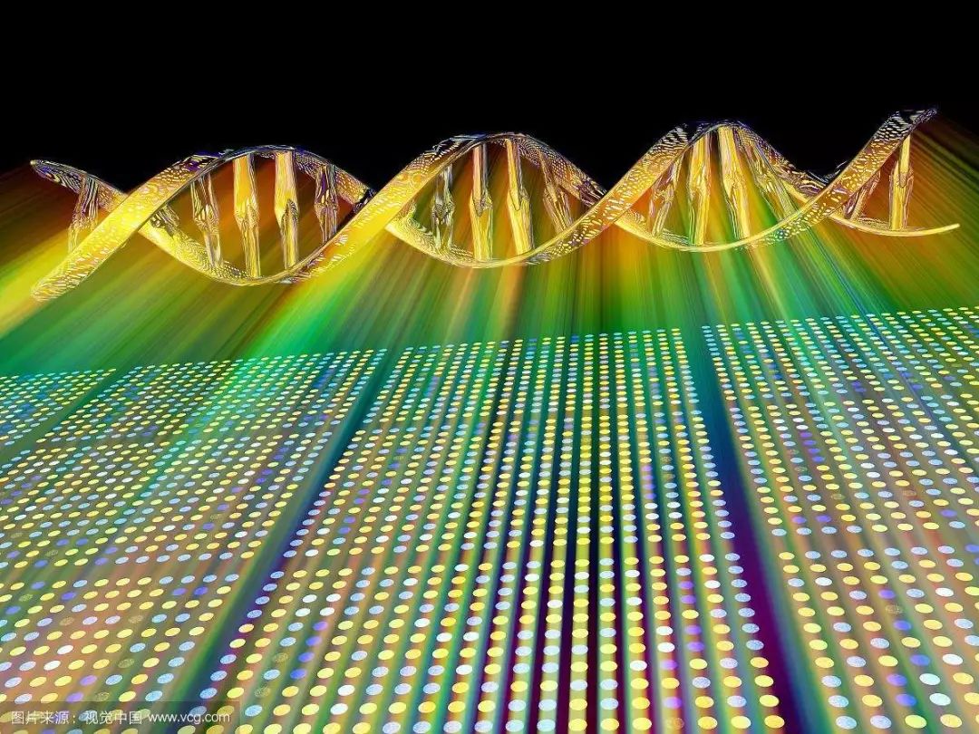 基因芯片技术是什么？一文读懂基因芯片！