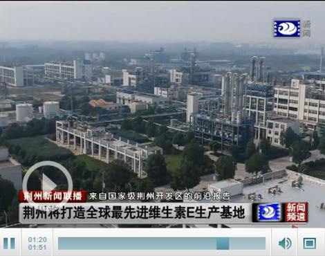 荆州将打造全球最先进维生素E生产基地