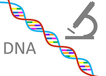 科学家发表新型基因编辑系统PrimeEditing工作原理专评