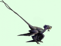 中国鉴定出的新羽毛恐龙种