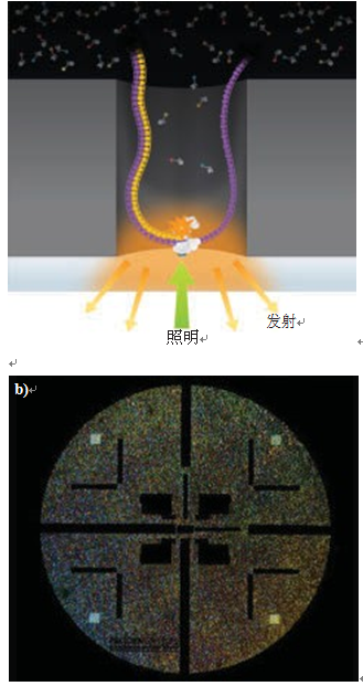 激光荧光推动测序技术发展