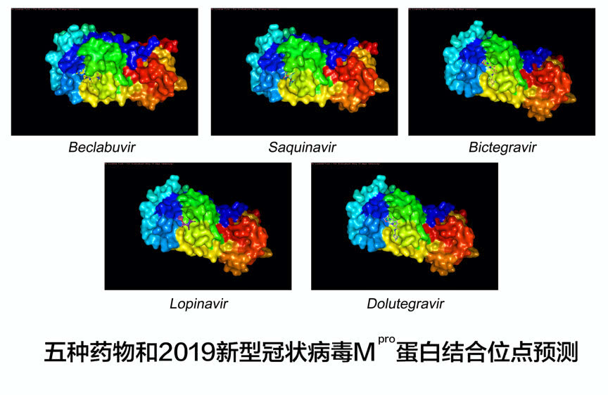 解密五种AI筛选的“新冠”新药：能靶向病毒细胞侵入的蛋白酶