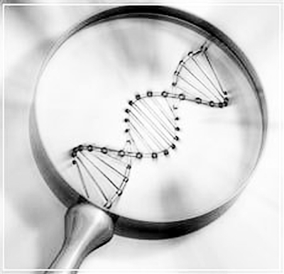 基因开关调节区变异或决定药物疗效 个性化医疗距现实又近了一步