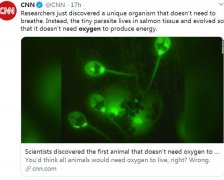 动物的定义将改写？科学家首次发现不靠氧气存