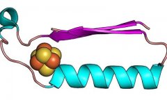 生命起源中最早代谢蛋白质“现身”