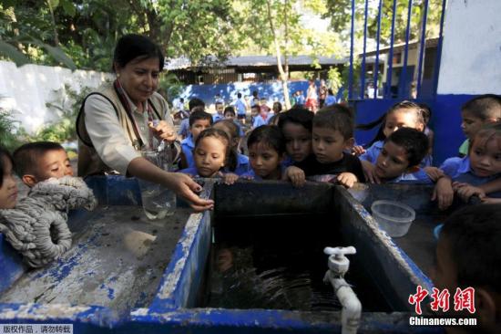 资料图：萨尔瓦多拉利伯塔德省，一群青年志愿者开发了一种控制蚊子繁殖的方法，他们在附近河流捕捉到Sambo鱼后将它们放入当地学校和村庄的水缸中。