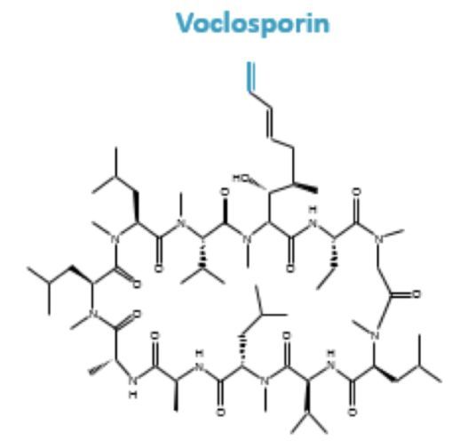 首个狼疮性肾炎(LN)药物！新型同类最佳钙调神经磷酸酶抑制剂voclosporin获美国FDA优先审查！