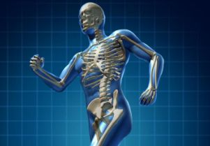 研究称天然大豆异黄酮大豆苷元可以促进骨骼形成