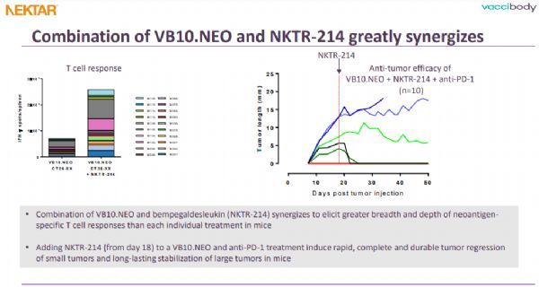 癌症新抗原DNA疫苗+抗癌T细胞免疫刺激！VB10.NEO与bempeg联合治疗头颈癌展现巨大潜力！
