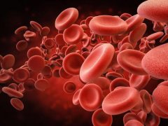 IU研究发现可减少血液癌患者的治疗相关并发症