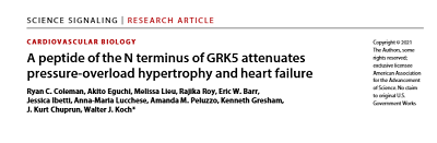 SciSignal:GRK5N末端多肽可缓解超负荷心肌肥大和心力衰竭