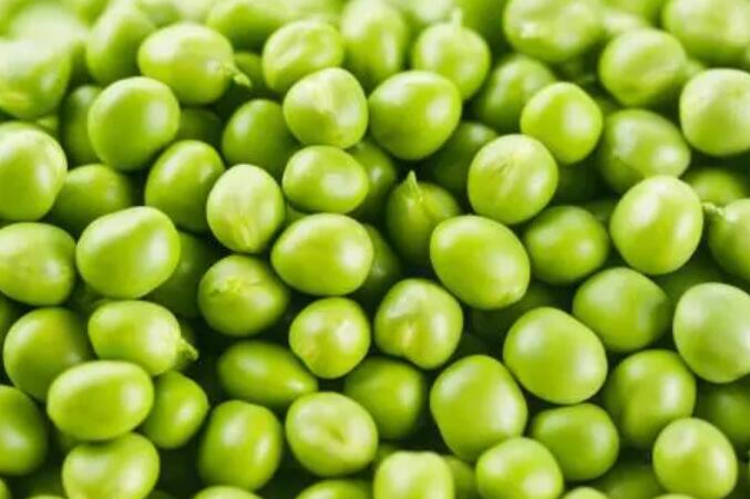 春季养生不妨多吃这4种豆 富含各种维生素