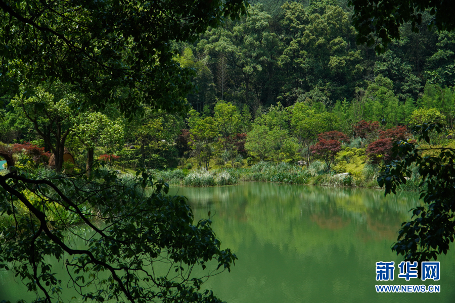 重庆：生态修复助力我国“藻类基因宝库”美丽