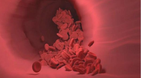 CellRep：重磅！科学家首次实现对血管内皮细胞进