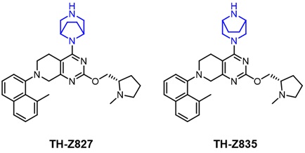 药物筛选得到的两个优势化合物     受访者供图